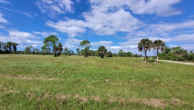 Nice corner building lot in the Rotonda Meadows Villas - photo 5