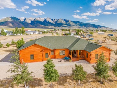 (private lake, pond, creek) Home Active Under Contract in Spring Creek Nevada