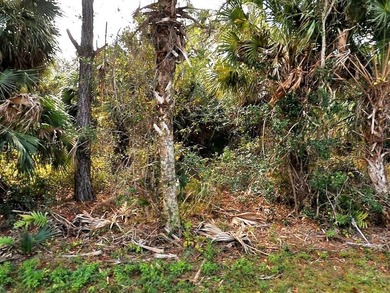 Welcome to an exceptional DOUBLE lot on Volger Lane in North - photo 1