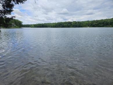 (private lake, pond, creek) Lot For Sale in Chelsea Michigan
