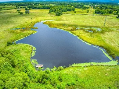 (private lake, pond, creek) Acreage For Sale in Howe Oklahoma