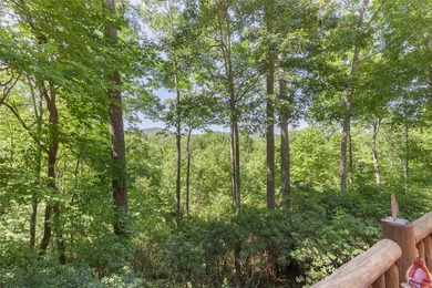 Discover the timeless appeal of mountain living in this classic - photo 33