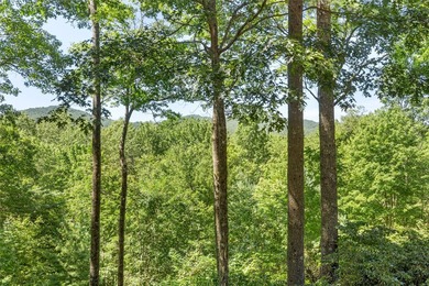 Discover the timeless appeal of mountain living in this classic - photo 34