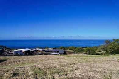 Hokulia Phase 1, Developer Lot 141 boasts 2.48 acres-a premier - photo 10