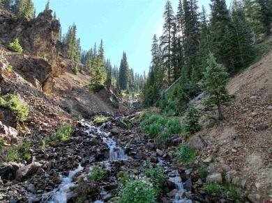 Lake Acreage For Sale in Silverton, Colorado
