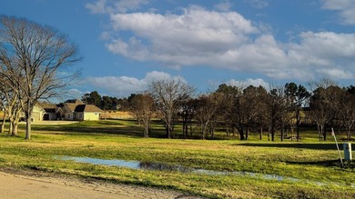 Fisherman's paradise near Richland Chambers, Cedar Creek, and - photo 11