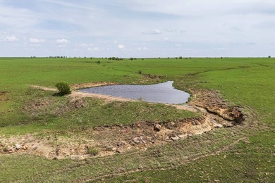 This 1,100+/- acre ranch in Greenwood County represents a rare - photo 11