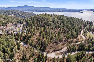 One-of-a-kind legacy property located just 10 minutes from Coeur - photo 12