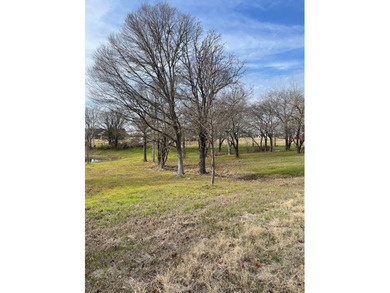 Fisherman's paradise near Richland Chambers, Cedar Creek, and - photo 12