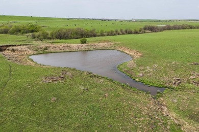 This 1,100+/- acre ranch in Greenwood County represents a rare - photo 12