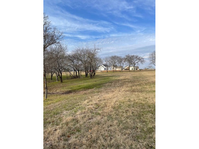 Fisherman's paradise near Richland Chambers, Cedar Creek, and - photo 13