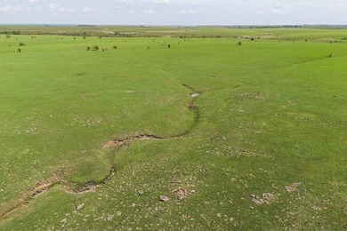 This 1,100+/- acre ranch in Greenwood County represents a rare - photo 13