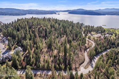 One-of-a-kind legacy property located just 10 minutes from Coeur - photo 14