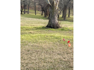 Fisherman's paradise near Richland Chambers, Cedar Creek, and - photo 14
