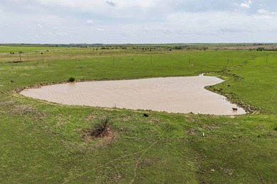This 1,100+/- acre ranch in Greenwood County represents a rare - photo 14