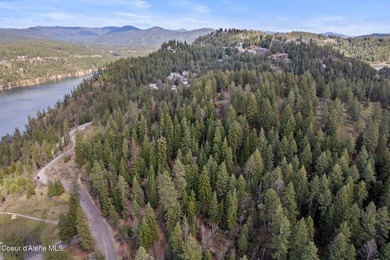 One-of-a-kind legacy property located just 10 minutes from Coeur - photo 15