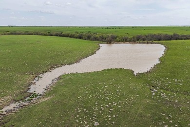 This 1,100+/- acre ranch in Greenwood County represents a rare - photo 16