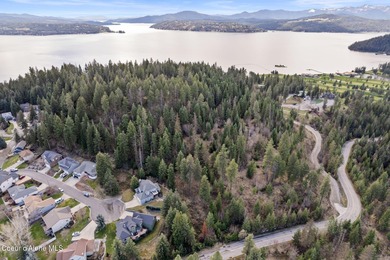 One-of-a-kind legacy property located just 10 minutes from Coeur - photo 17
