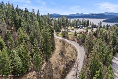 One-of-a-kind legacy property located just 10 minutes from Coeur - photo 19