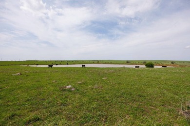 This 1,100+/- acre ranch in Greenwood County represents a rare - photo 19