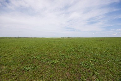 This 1,100+/- acre ranch in Greenwood County represents a rare - photo 20