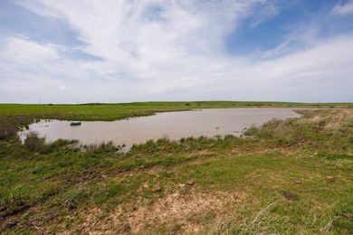 This 1,100+/- acre ranch in Greenwood County represents a rare - photo 22