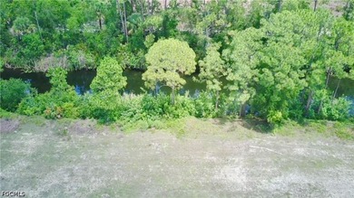 Your new home site awaits with plenty of space on this TRIPLE - photo 6