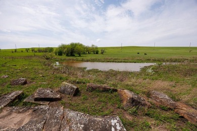 This 1,100+/- acre ranch in Greenwood County represents a rare - photo 26