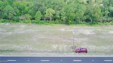 Your new home site awaits with plenty of space on this TRIPLE - photo 7