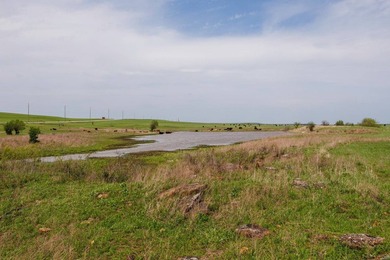 This 1,100+/- acre ranch in Greenwood County represents a rare - photo 27