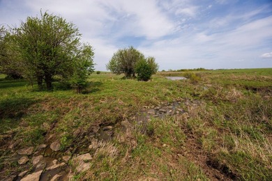 This 1,100+/- acre ranch in Greenwood County represents a rare - photo 28