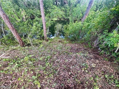 Your new home site awaits with plenty of space on this TRIPLE - photo 9