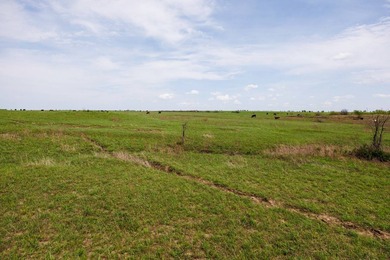 This 1,100+/- acre ranch in Greenwood County represents a rare - photo 29