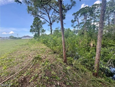 Your new home site awaits with plenty of space on this TRIPLE - photo 10