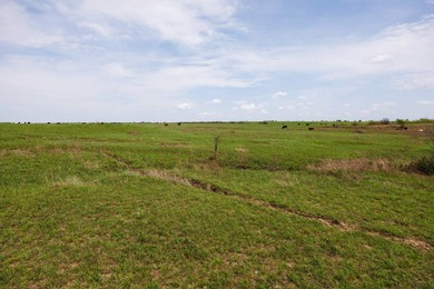 This 1,100+/- acre ranch in Greenwood County represents a rare - photo 30