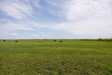 This 1,100+/- acre ranch in Greenwood County represents a rare - photo 31