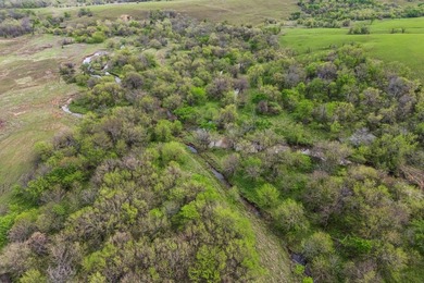 This 1,100+/- acre ranch in Greenwood County represents a rare - photo 35