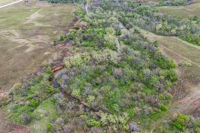 This 1,100+/- acre ranch in Greenwood County represents a rare - photo 37