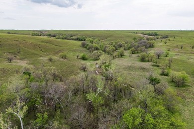 This 1,100+/- acre ranch in Greenwood County represents a rare - photo 38