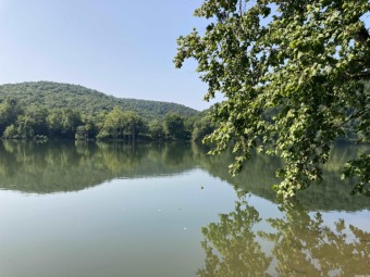 Lake Lot For Sale in Guion, Arkansas