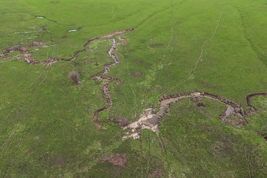 This 1,100+/- acre ranch in Greenwood County represents a rare - photo 42