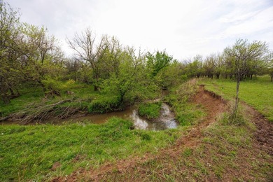 This 1,100+/- acre ranch in Greenwood County represents a rare - photo 44