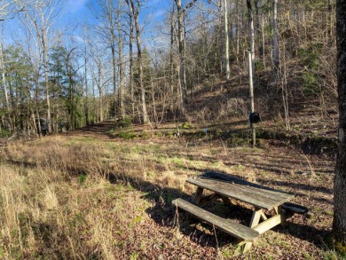 North Rock Creek - Summer on Smith Lake awaits with this - photo 4
