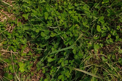 This 1,100+/- acre ranch in Greenwood County represents a rare - photo 48