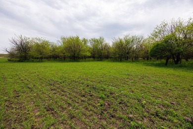This 1,100+/- acre ranch in Greenwood County represents a rare - photo 50
