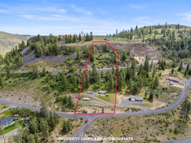 Lake Roosevelt Acreage For Sale in Seven Bays Washington