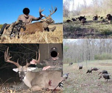 (private lake, pond, creek) Acreage For Sale in Lorman Mississippi