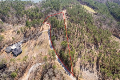 Smith Lake (Crooked Creek) Lot 31 in The Coves at Crooked Creek - photo 4