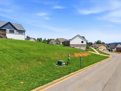 Cleared Cherokee Lake View Lot - photo 12