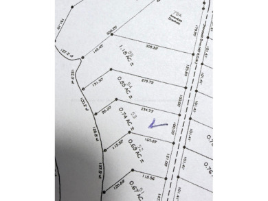 Beautiful lot in the Sipsey area of Smith Lake! This subdivsion - photo 3